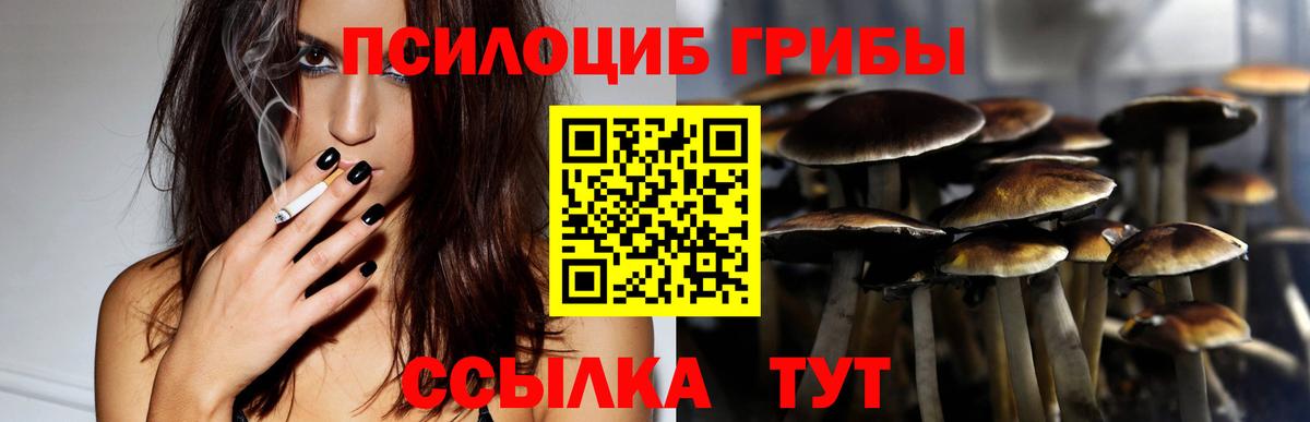 Псилоцибиновые грибы Cubensis  Вход с VPN  Можайск 